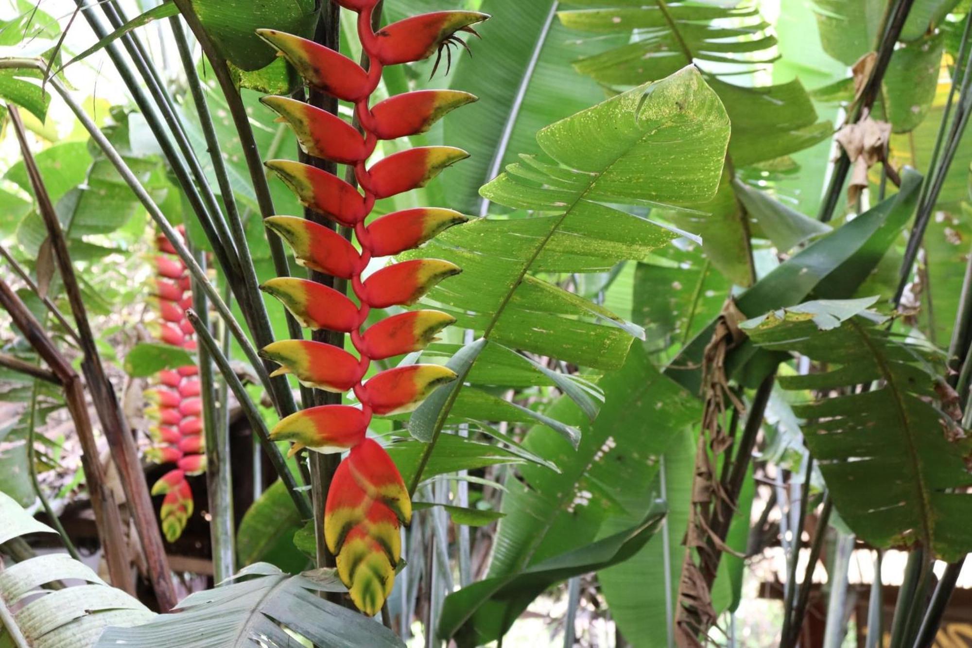 Hospedaje Ecologico Purma Wasi ตาราโปโต ภายนอก รูปภาพ